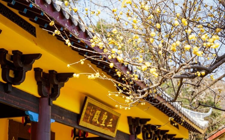 �����¥���ķ�ˮ