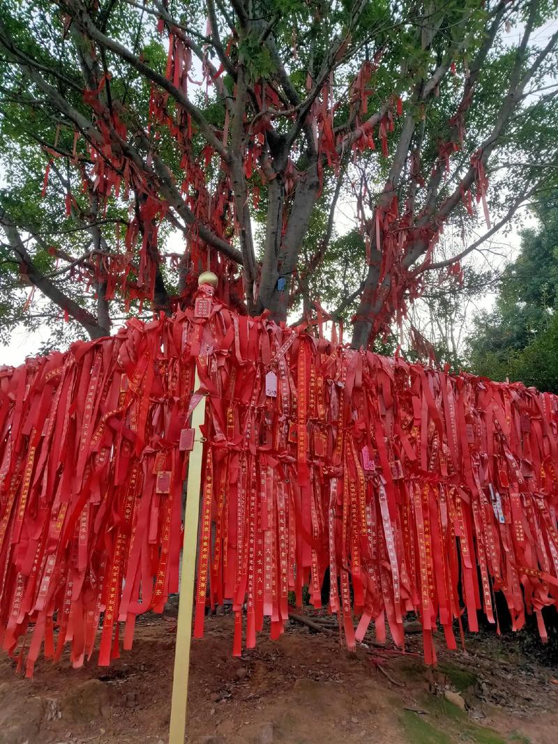 六壬六十四课配卦解 六壬六十四课配卦解