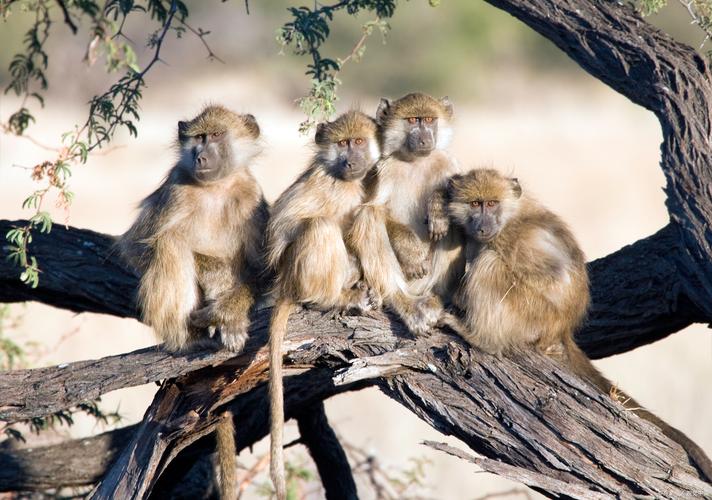 �и��μ������