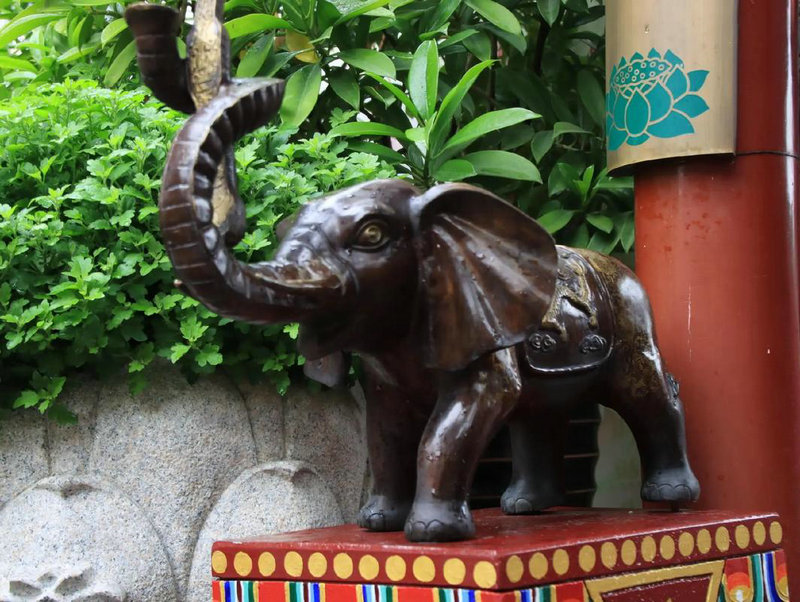 ʮ������˯�� �������廪������