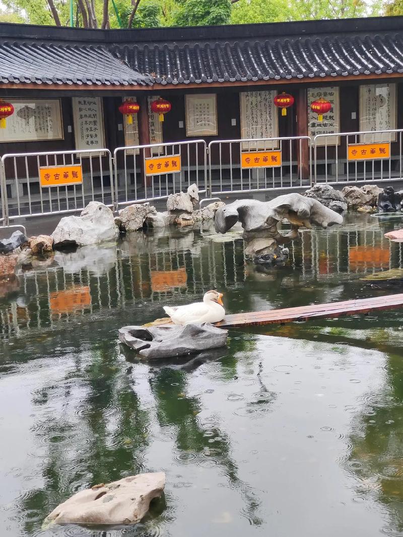 汪姓宝宝起名寓意 汪姓宝宝起名寓意