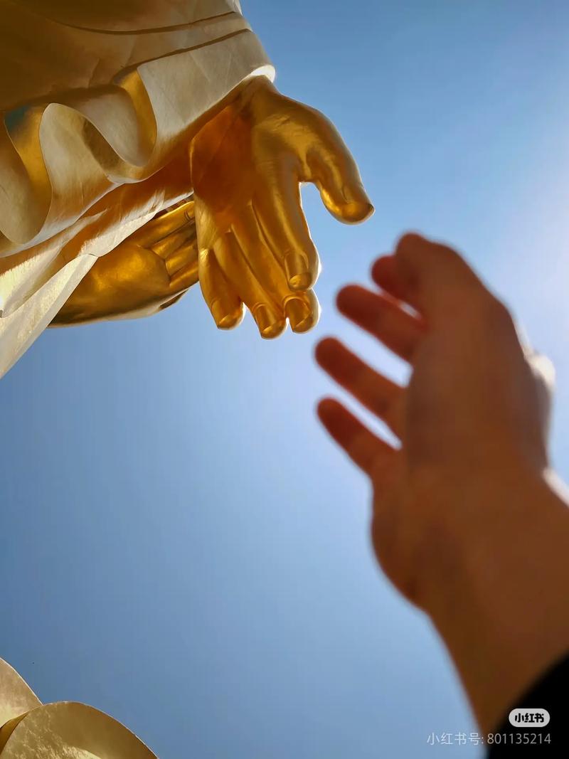 鸡年是那年,鸡年出生的命运 鸡年是那年,鸡年出生的命运