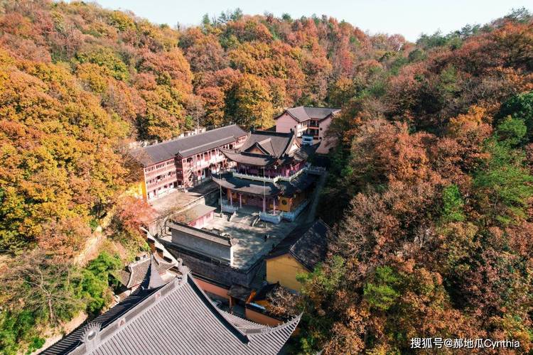 ���տ͵�Ӱ ���տ͵�Ӱ��ѹۿ�������