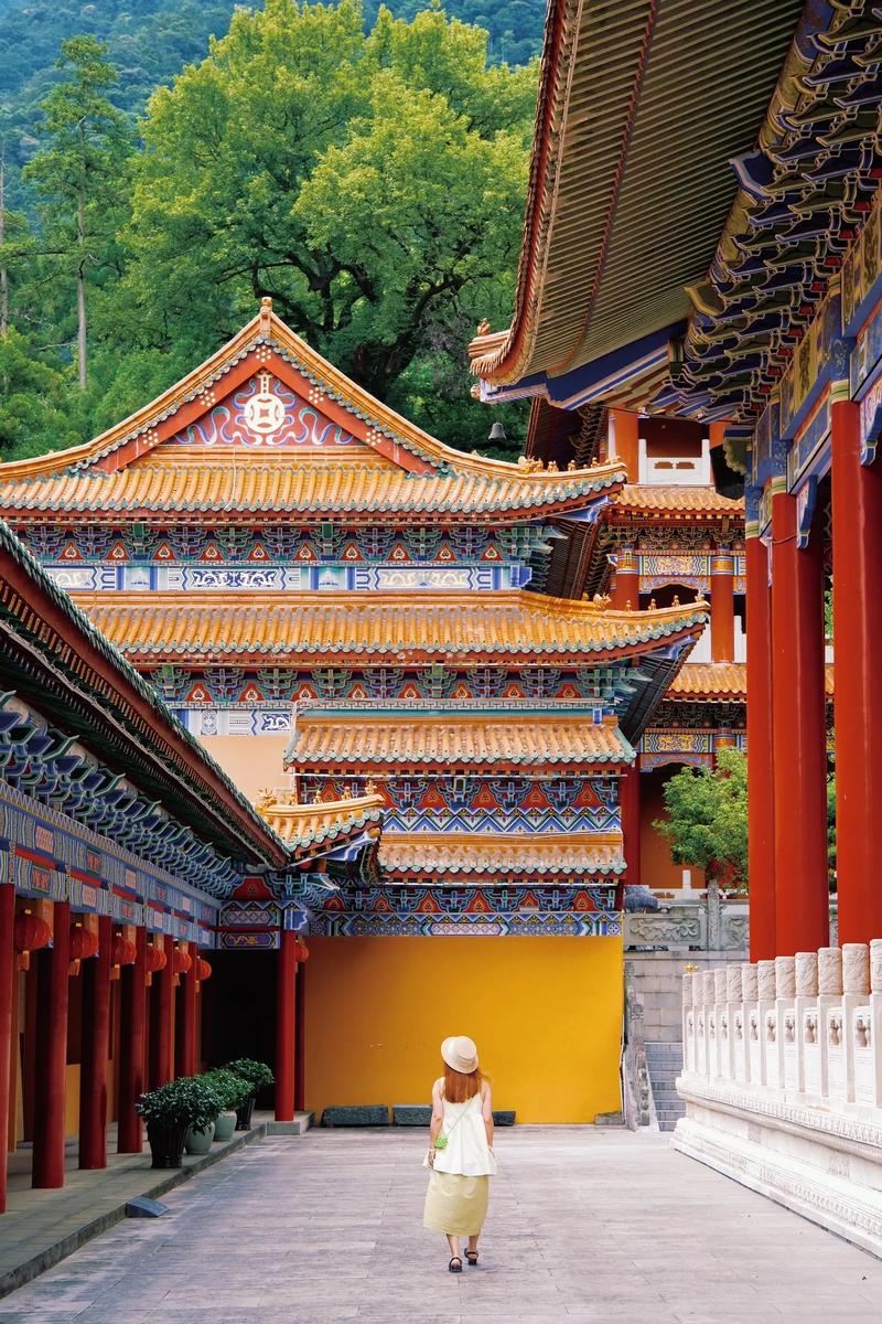 ��ɫ����Ӱ���ˮ��