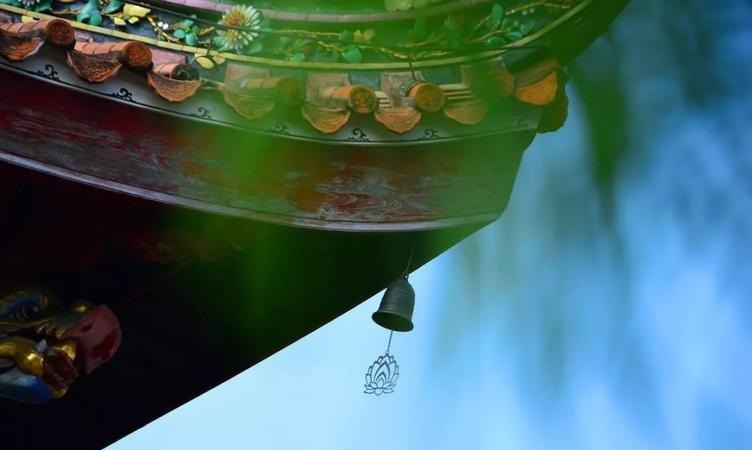 白庆琳安家白庆琳在安家里扮演谁 白庆琳安家白庆琳在安家里扮演谁