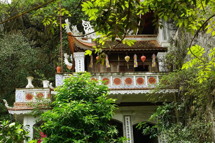 ��ţ��Ů��������