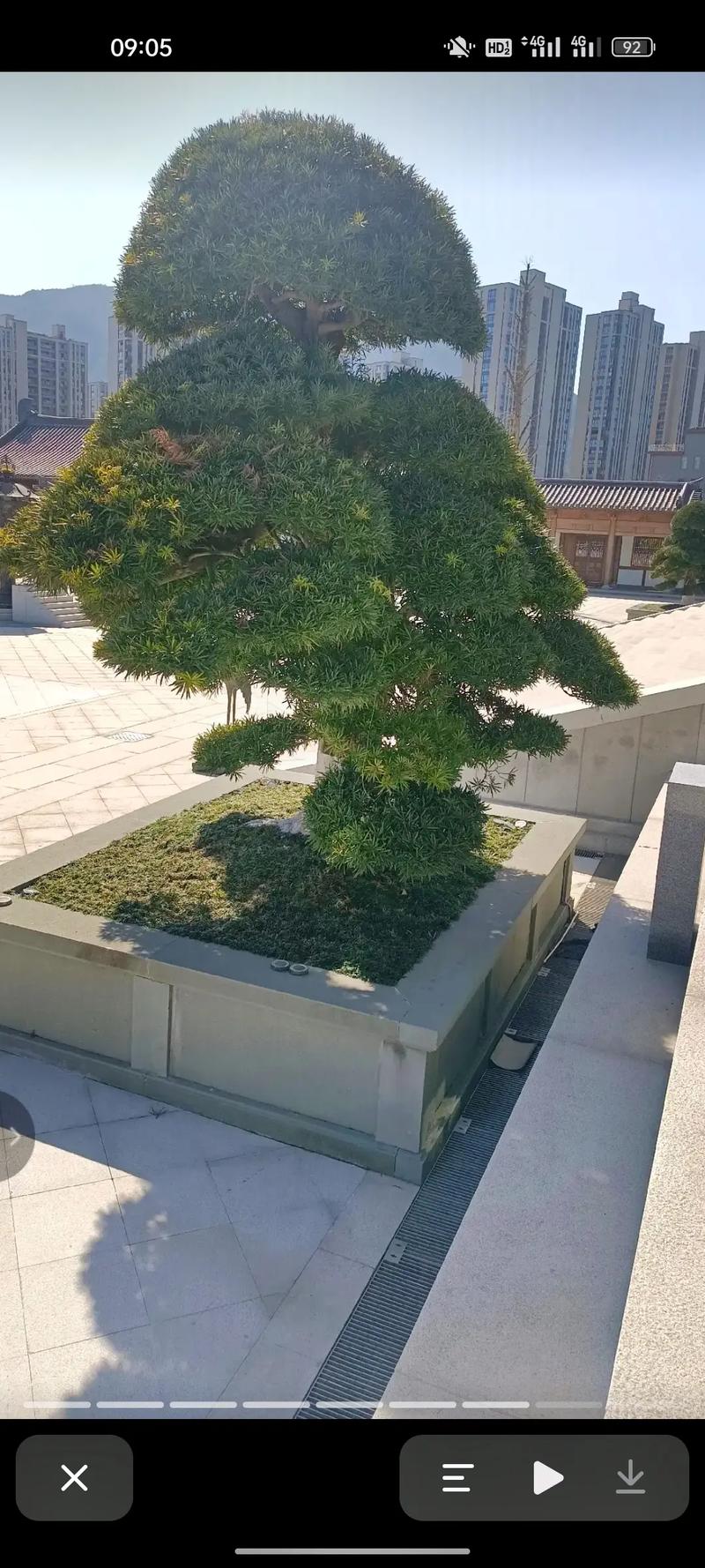 ���������������������