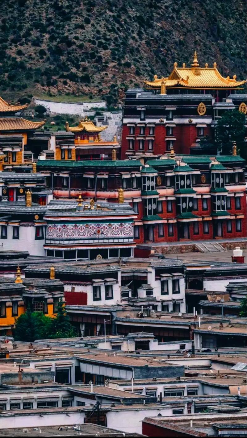 ʮ����Ф��������ʲô�� ����ʲô��Ф�����ʲô��˼