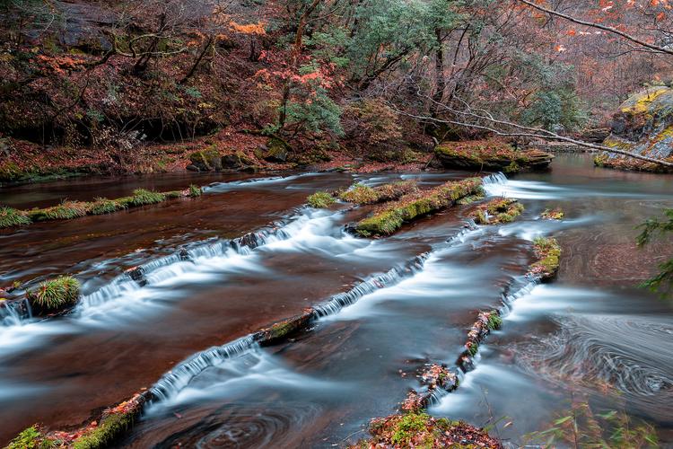 ʮ�����������������