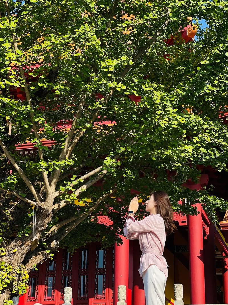 阴宅选址的十大建议 阴宅选址的十大建议