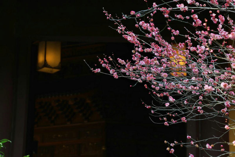 农村房子形状风水 农村房子风水布局图片