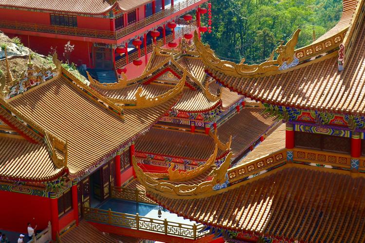 С��5������ С�׷�����2025��Ʒ����ʱ��