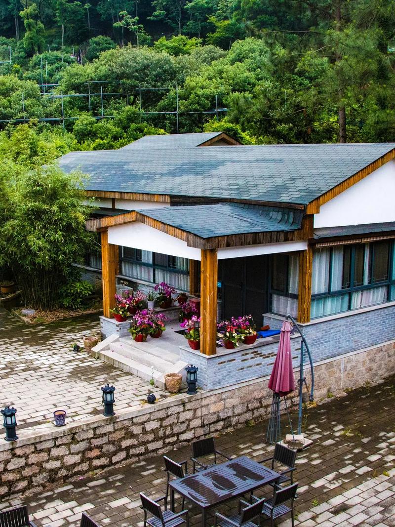 ѩ�����Ⱥ������� ��ķ����˹��ɼ��׷���