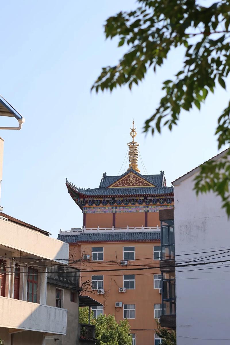 ����ݲ���(����ݸ�����Ϣ)