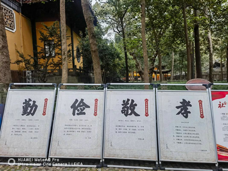 天秤座前面是什么星座 天秤座前面是什么星座