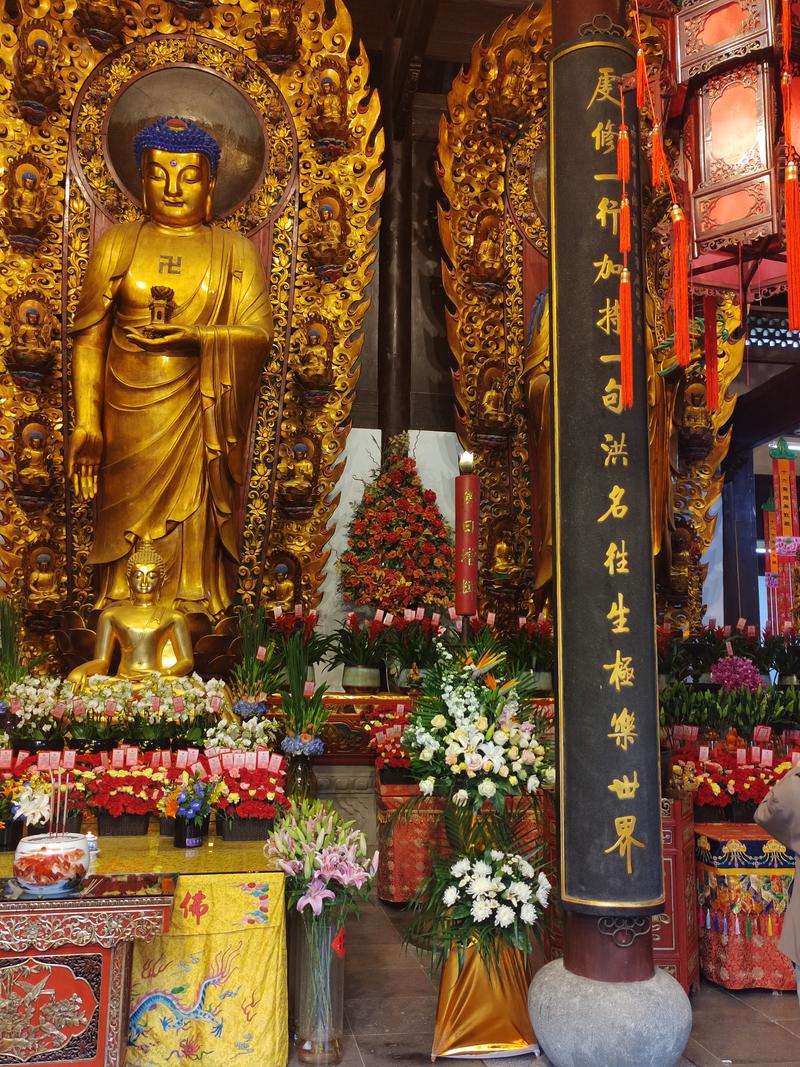 ��ޱ2025���������� 2025��������������