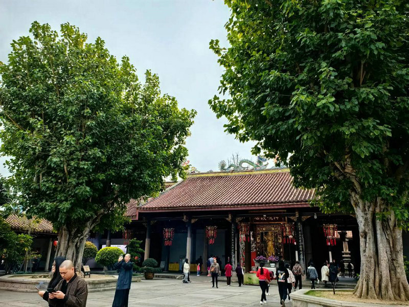 Ϳ����÷�����ݵĵ��Ӿ�