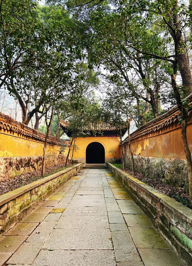 ����������ʱ���ж�˧����ն���ĸ�翪