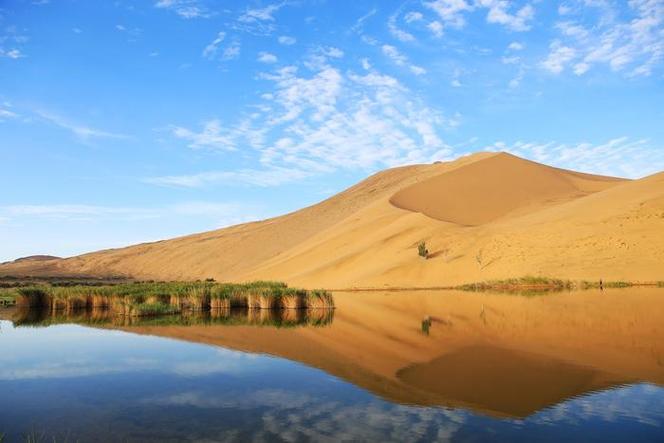 芈月传芈戎_芈月传芈戎魏冉第几集见面 芈月传芈戎_芈月传芈戎魏冉第几集见面