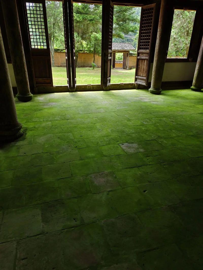 �����˹ٵ��׺ò���(�˹������ظ�Ϊʲô)