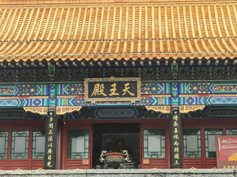 ����ʨ��������������