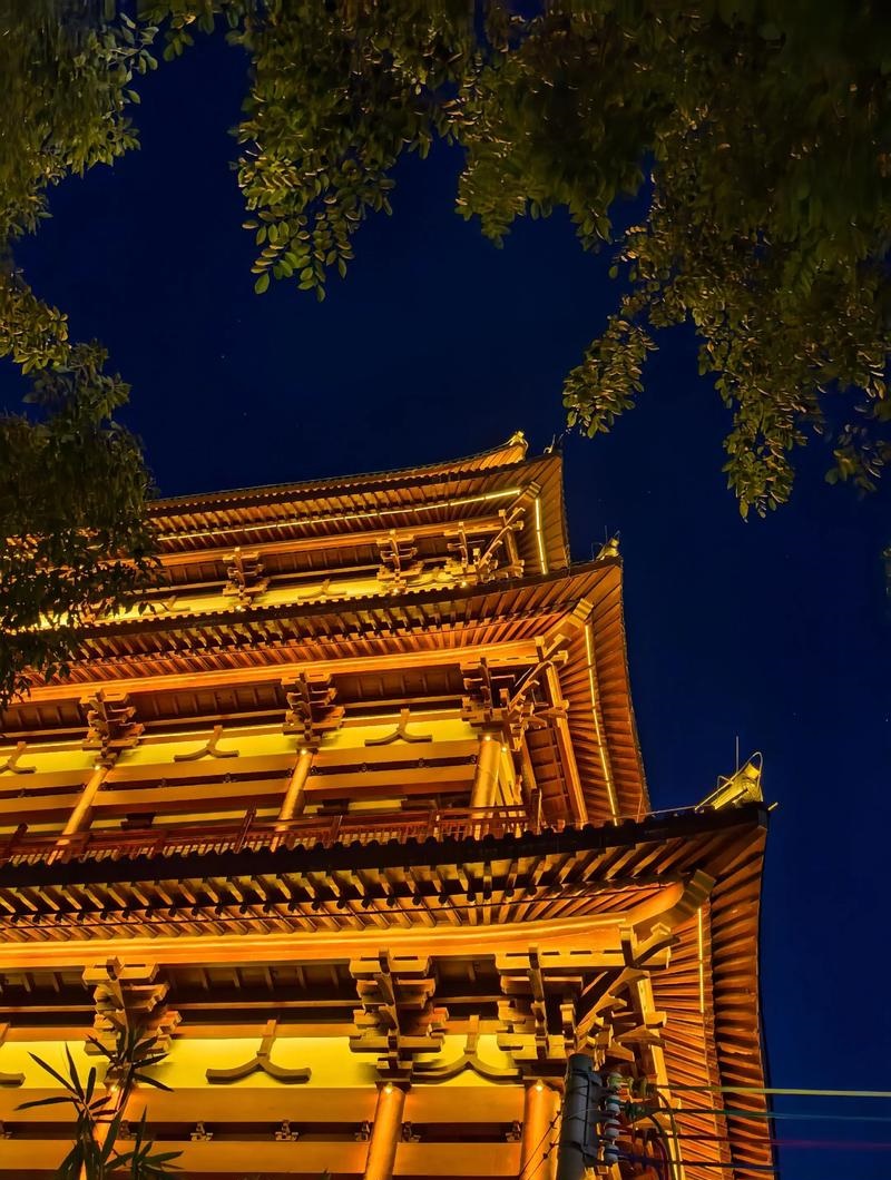 杨佑宁个人资料身高 杨佑宁的资料 杨佑宁个人资料身高 杨佑宁的资料