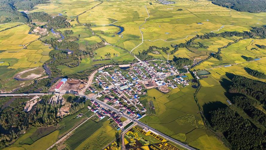 2016���������ƣ���ɺ����2016������������������