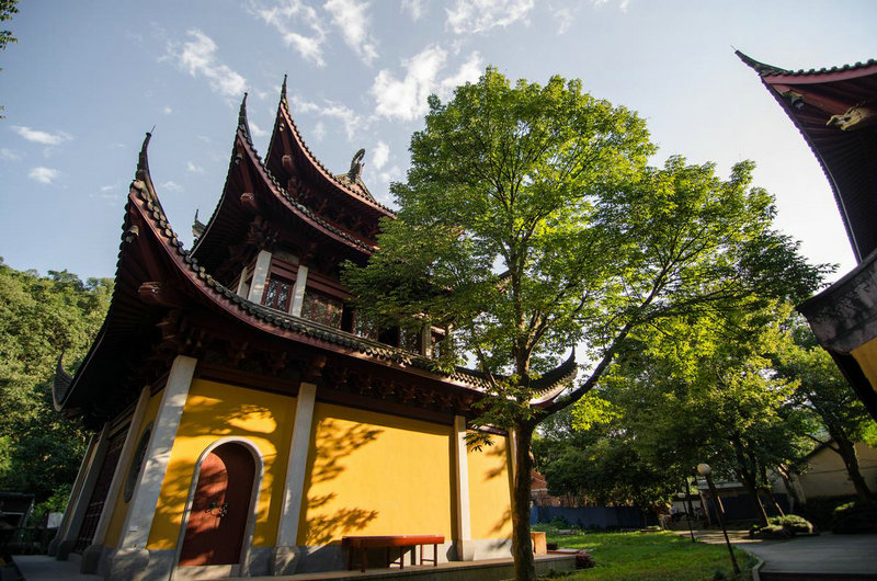 ��լ����լ�ĳ���8803