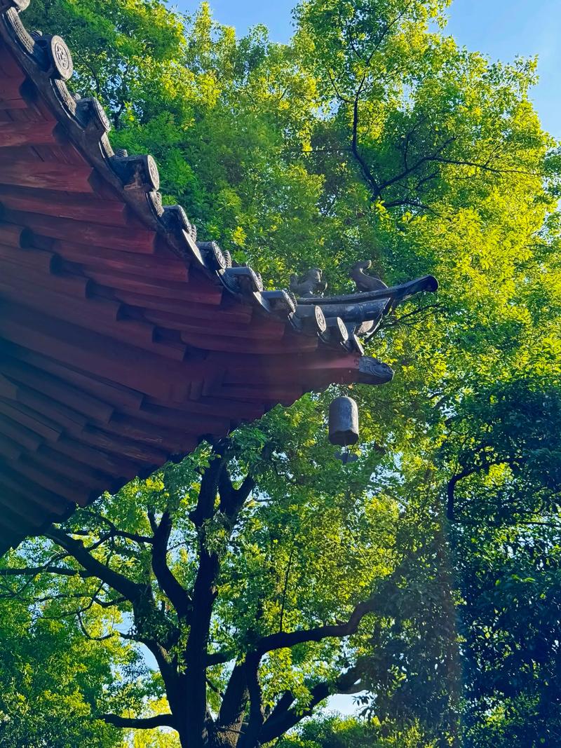 ��־���������ݵĵ��Ӿ�