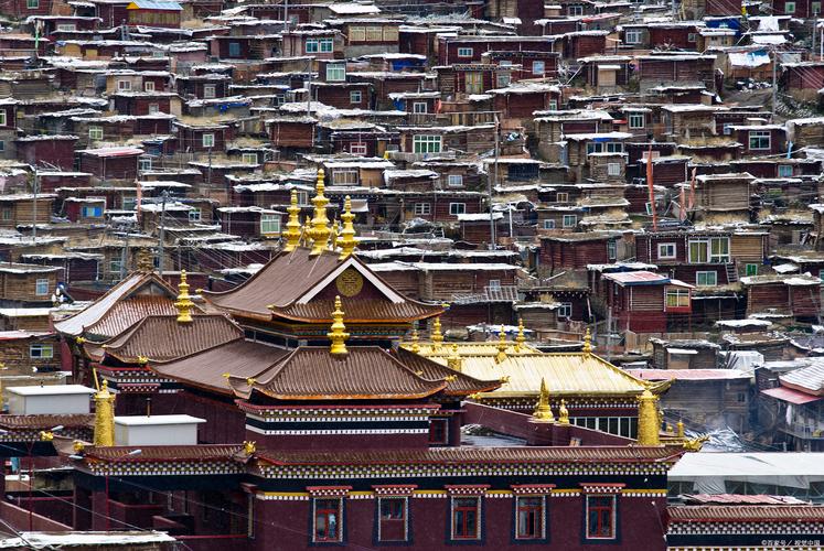 1992��ﱦ�����³�������,���걦�����³�������