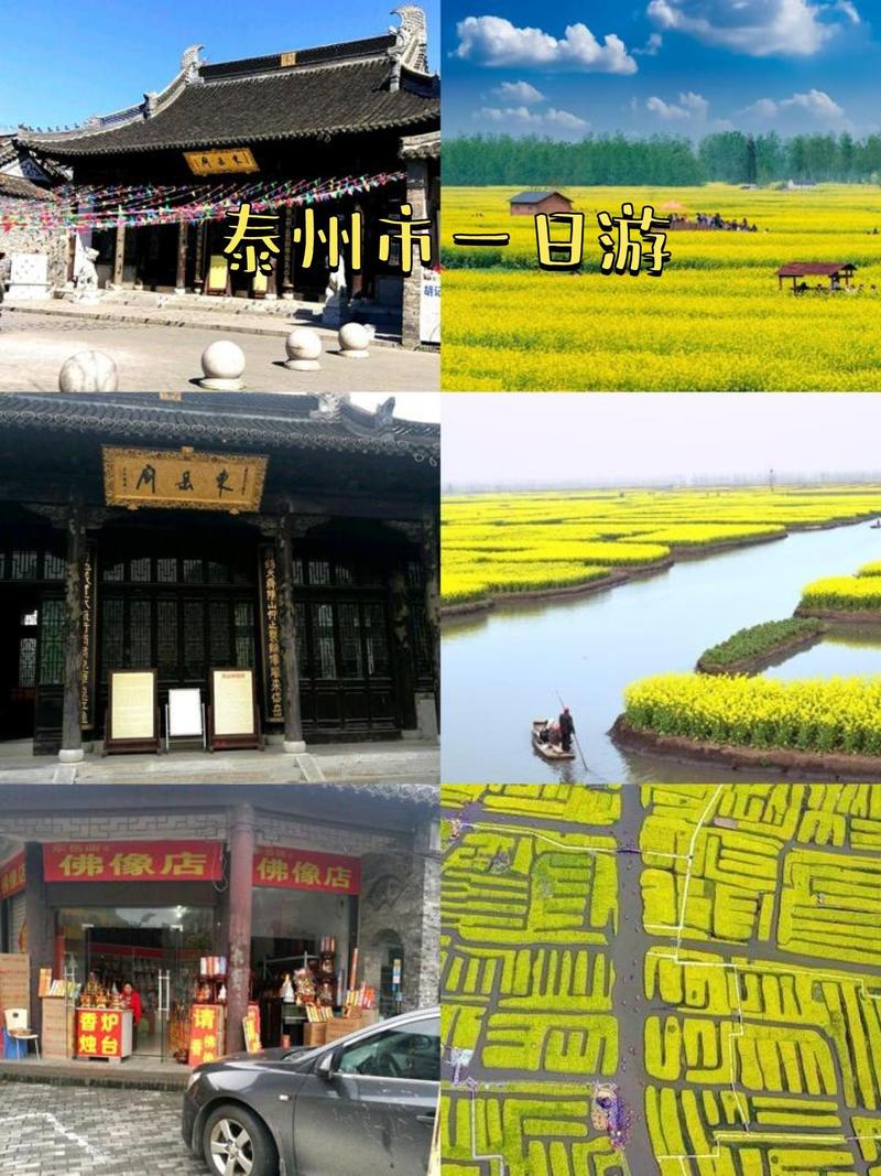 װ�η�ˮѧ,��˾����ҵѡȡ����Ӧ��֪����֪ʶ