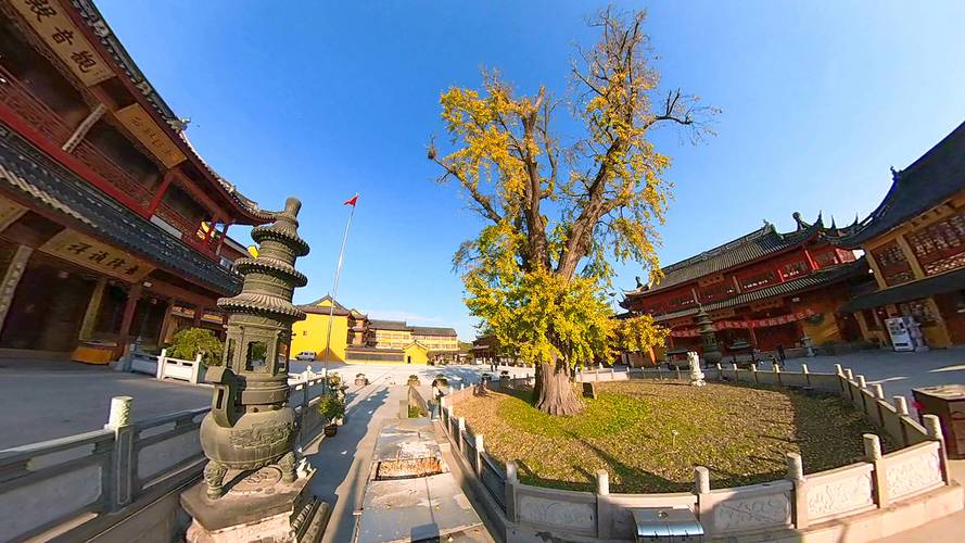 ���Ӿ���ʥʹ�����Ӿ���ʥʹ�����߿�