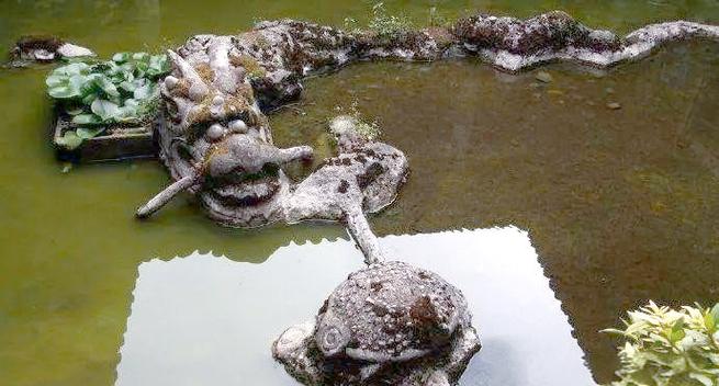 �����뿪�Ϲ�����ФŮ