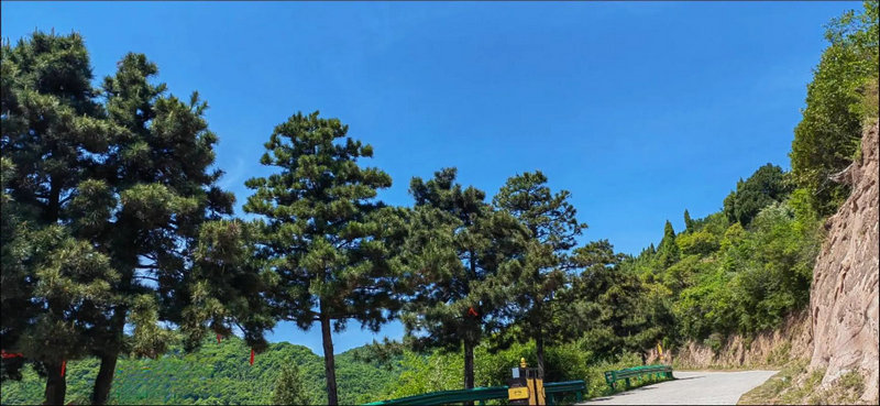 属兔今年多大岁 属牛今年多大岁 属兔今年多大岁 属牛今年多大岁