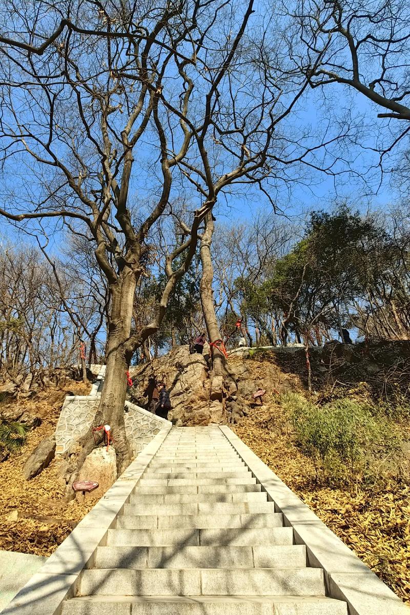 怎么起名字结合生辰八字(名字合生辰八字) 怎么起名字结合生辰八字(名字合生辰八字)