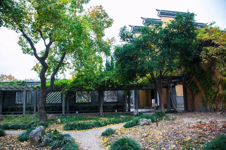 林峰老婆多大 林峰老婆怎么样 林峰老婆多大 林峰老婆怎么样