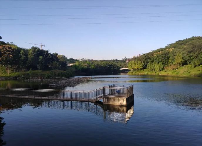 ��¥���м仧�ķ�ˮ