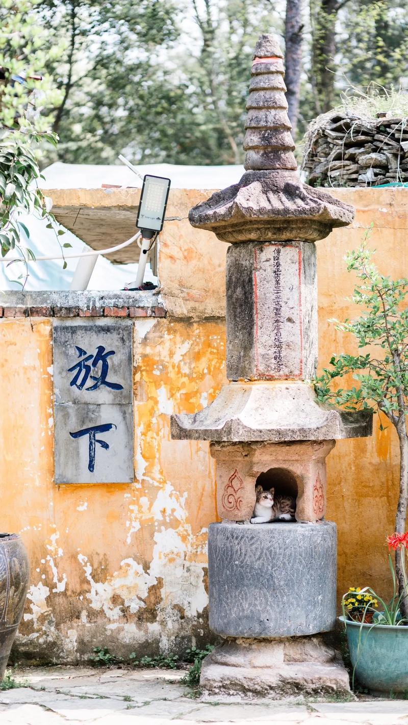 �����ú��������ˮ