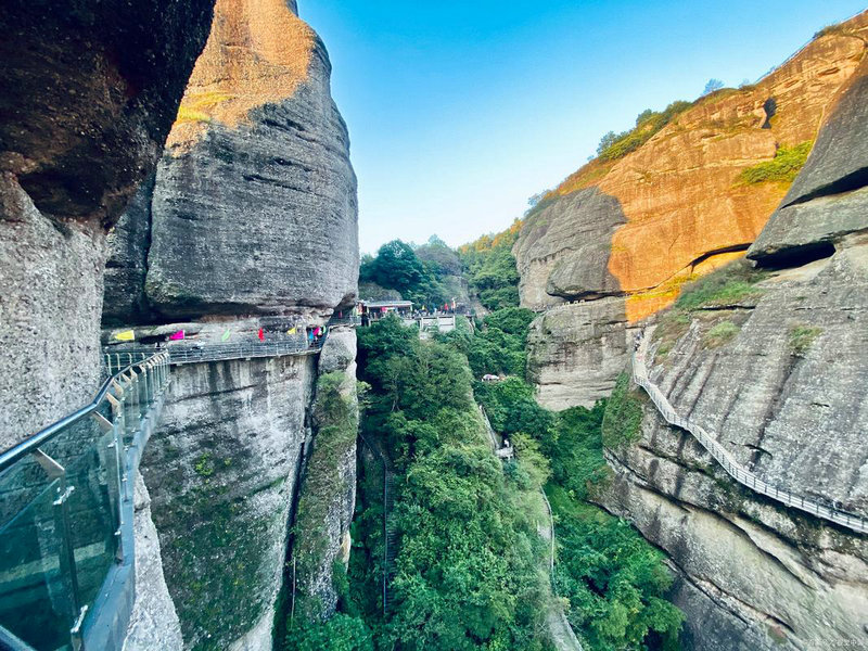 ����ΰ�����������ϼ��