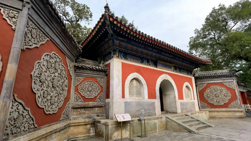 海百合12星座塔罗牌周运(1.29-2.4) 海百合12星座塔罗牌周运(1.29-2.4)