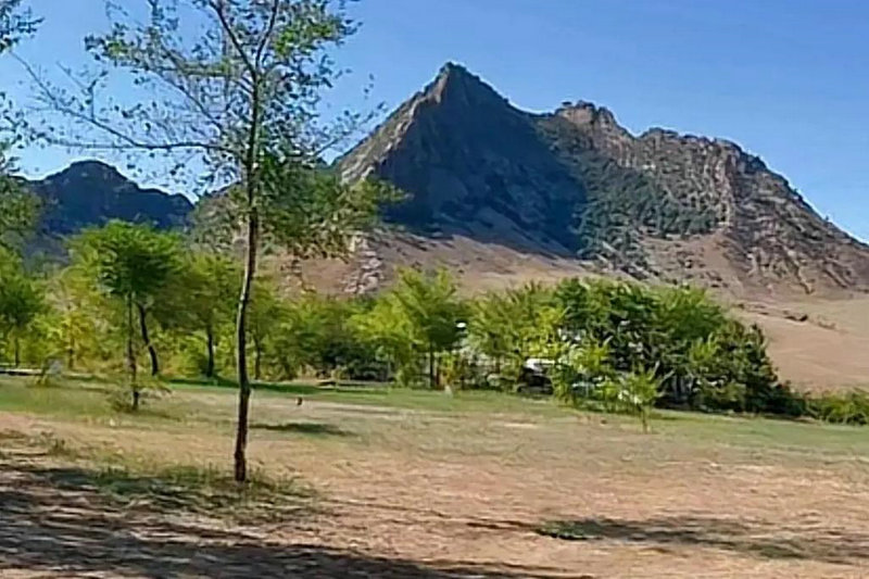 ¬���к�����2024��8��29�ճ�����