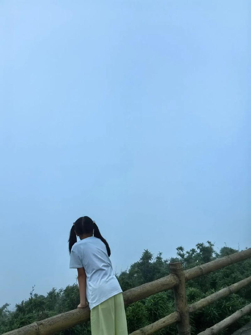 ��ô��ѯ�Լ����������