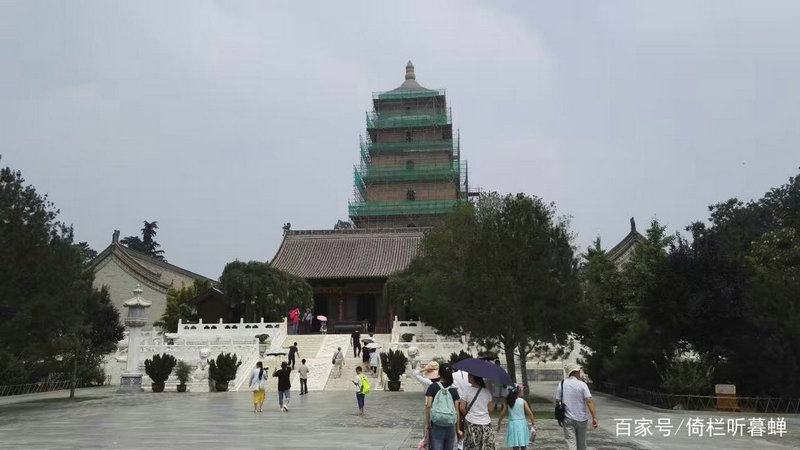 ����Ĺ�˾���� ˳��˳ˮ�Ĺ�˾�������