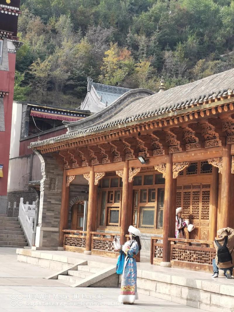 北方有佳人全集免费观看 北方有佳人全集免费观看