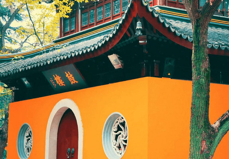 ��ԲԲ������͢ ��ԲԲ������͢����