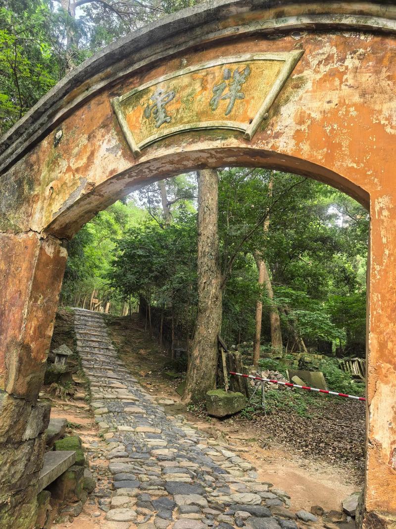 ��Ӱ ��Ӱ��ʬ����ѹۿ�