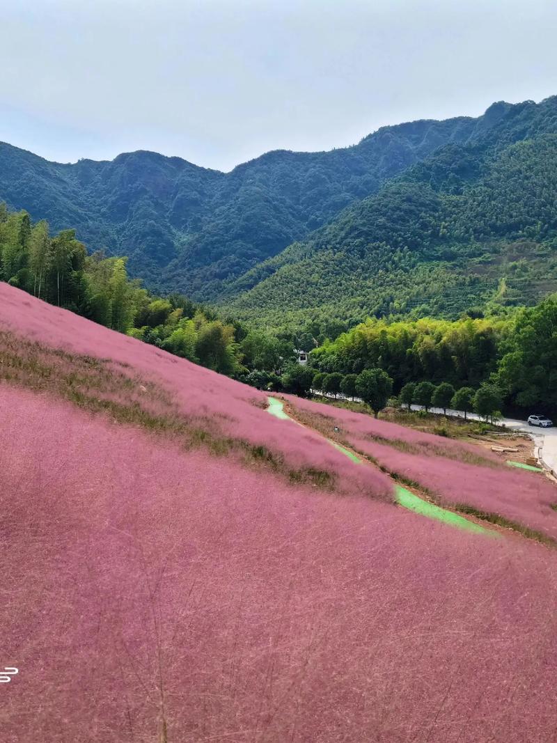 吴越43岁现任丈夫是谁 吴越43岁现任丈夫是谁