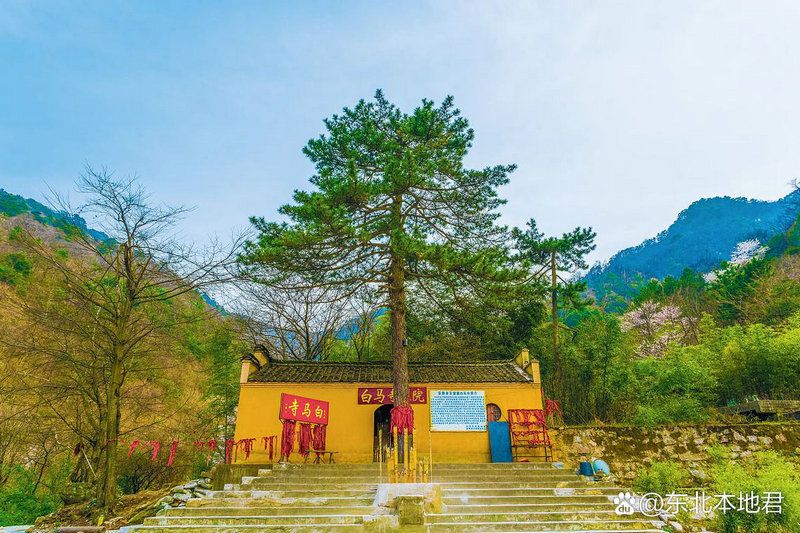 ʮ����Ф��2025��1�����Ʒ���