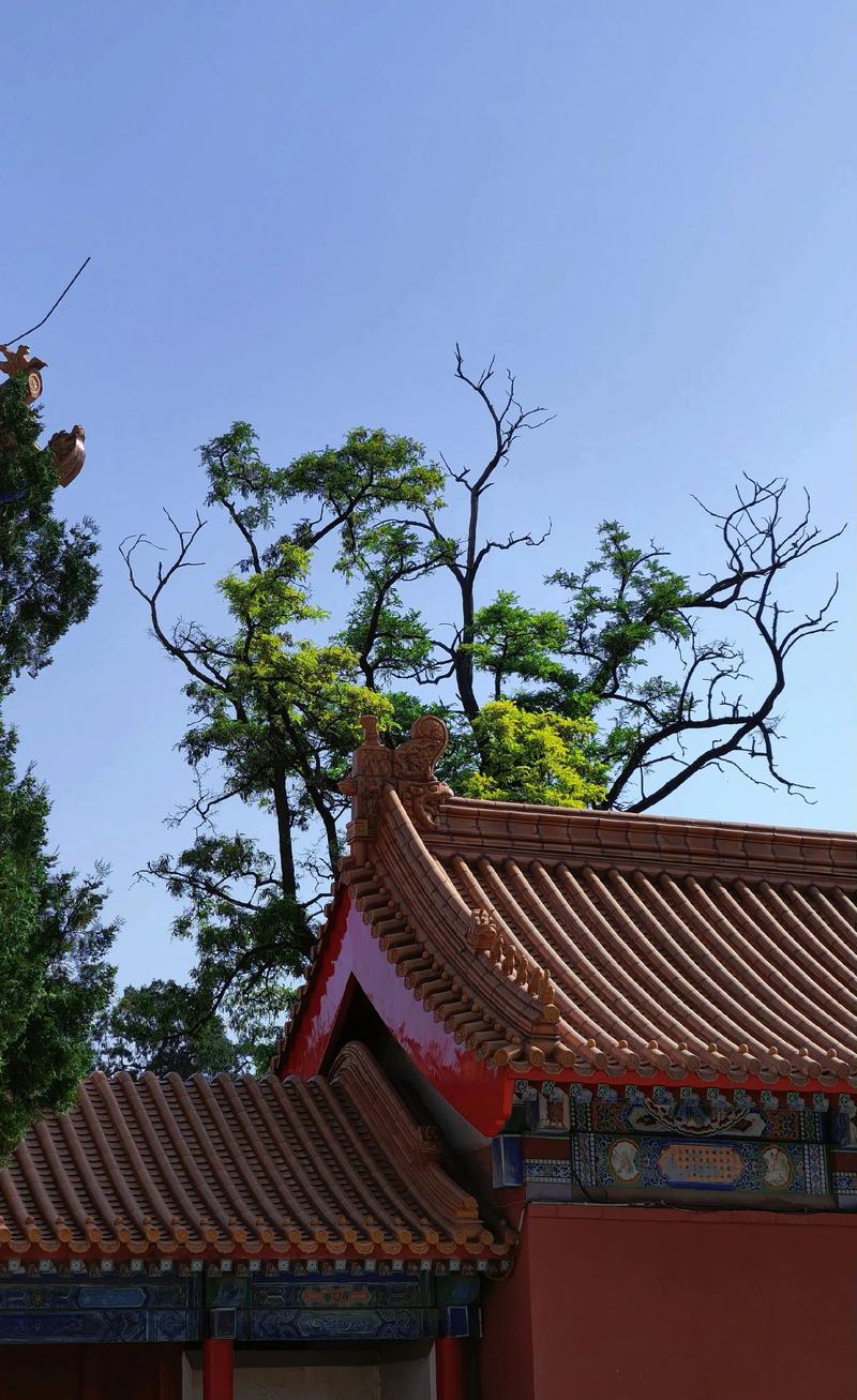 香港长江集团,客厅风水学 香港长江集团,客厅风水学