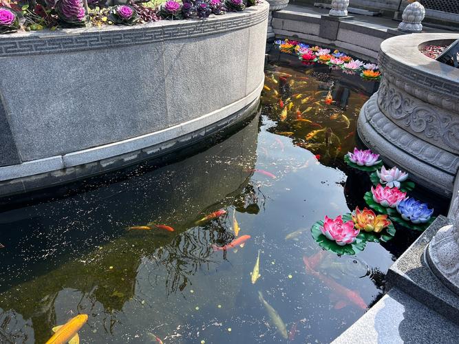 ������ȫ�� ��������Ƶȫ��